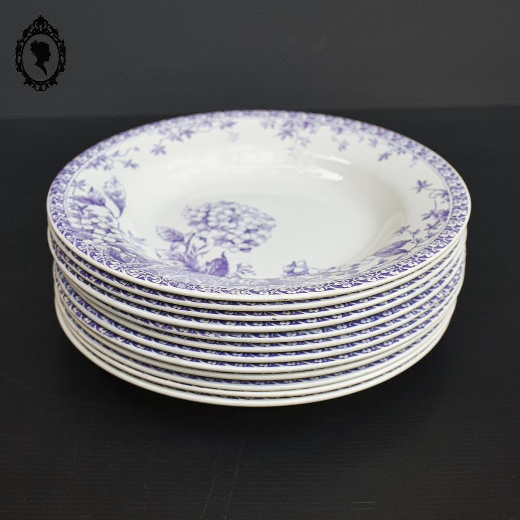 Lot 12 assiettes violettes fleur Hortensia de Gien anciennes