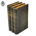 Lot 3 livres Les origines de la France contemporaine fin XIX anciens