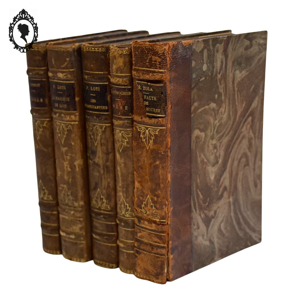 Lot 5 livres anciens romans cartonnés effet cuir début XX ième