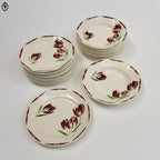 Lot 22 assiettes plates et creuses fleur tulipe rouge vert Badonviller vintage