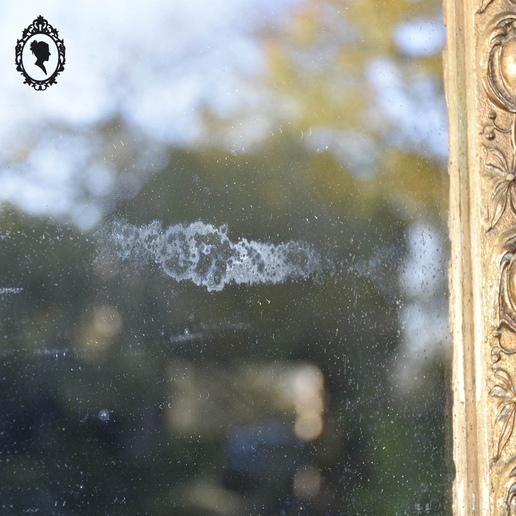 Miroir ancien avec fronton chimère phénix doré style Régence ou Napoléon 3 H 60 cm