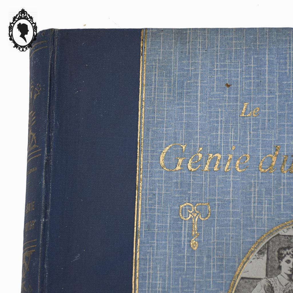 Livre bleu ancien Le Génie du Foyer de Jenny Lensia 1913