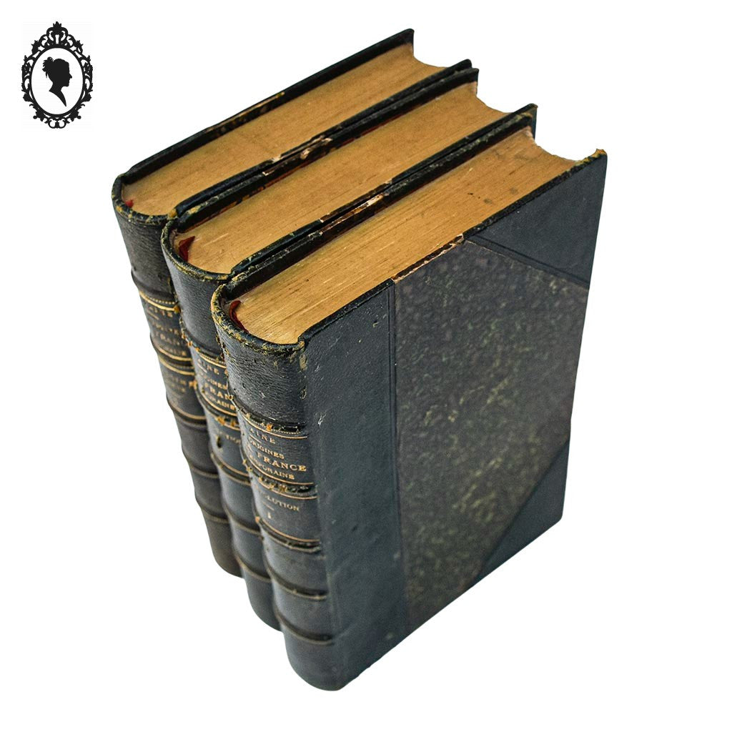 Lot 3 livres Les origines de la France contemporaine fin XIX anciens