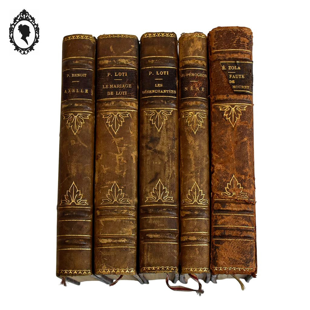 Lot 5 livres anciens romans cartonnés effet cuir début XX ième