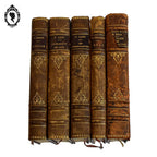 Lot 5 livres anciens romans cartonnés effet cuir début XX ième