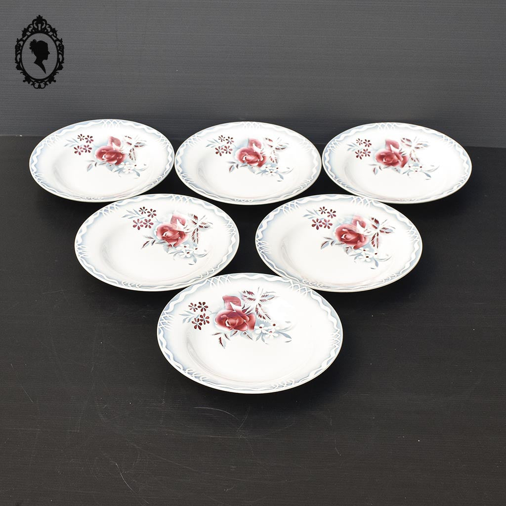 Lot 6 assiettes creuses fleur rose bleue LOT Digoin Sarreguemines vintage