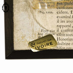 Petit cadre miniature portrait médaillon femme élégante sur ivoire ancien