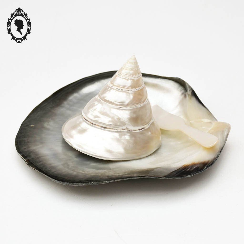 Superbes 3 pièces en nacres vide poche coquillage couteau blanc