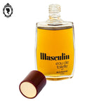 Flacon Masculin eau de toilette Bourjois Paris 100 ml collection parfum vintage