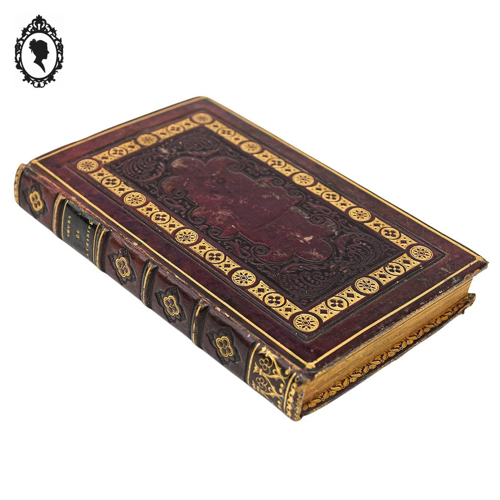 Livre religieux Les sœurs de la charité Louis Janet ancien
