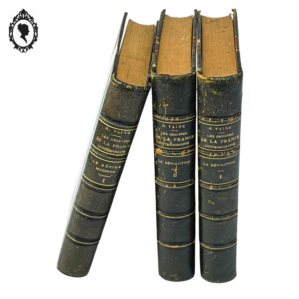 Lot 3 livres Les origines de la France contemporaine fin XIX anciens