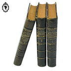 Lot 3 livres Les origines de la France contemporaine fin XIX anciens