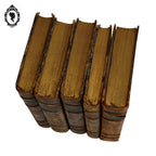 Lot 5 livres anciens romans cartonnés effet cuir début XX ième
