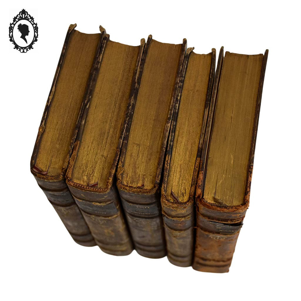 Lot 5 livres anciens romans cartonnés effet cuir début XX ième