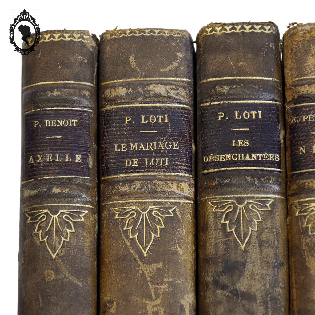 Lot 5 livres anciens romans cartonnés effet cuir début XX ième