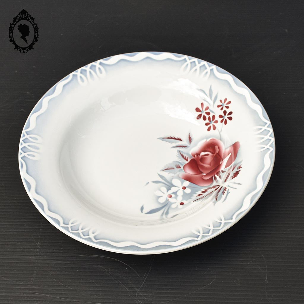 Lot 6 assiettes creuses fleur rose bleue LOT Digoin Sarreguemines vintage