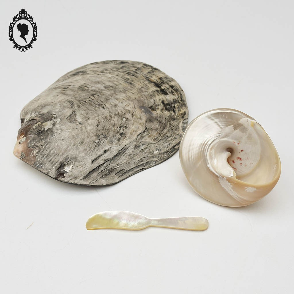 Superbes 3 pièces en nacres vide poche coquillage couteau blanc