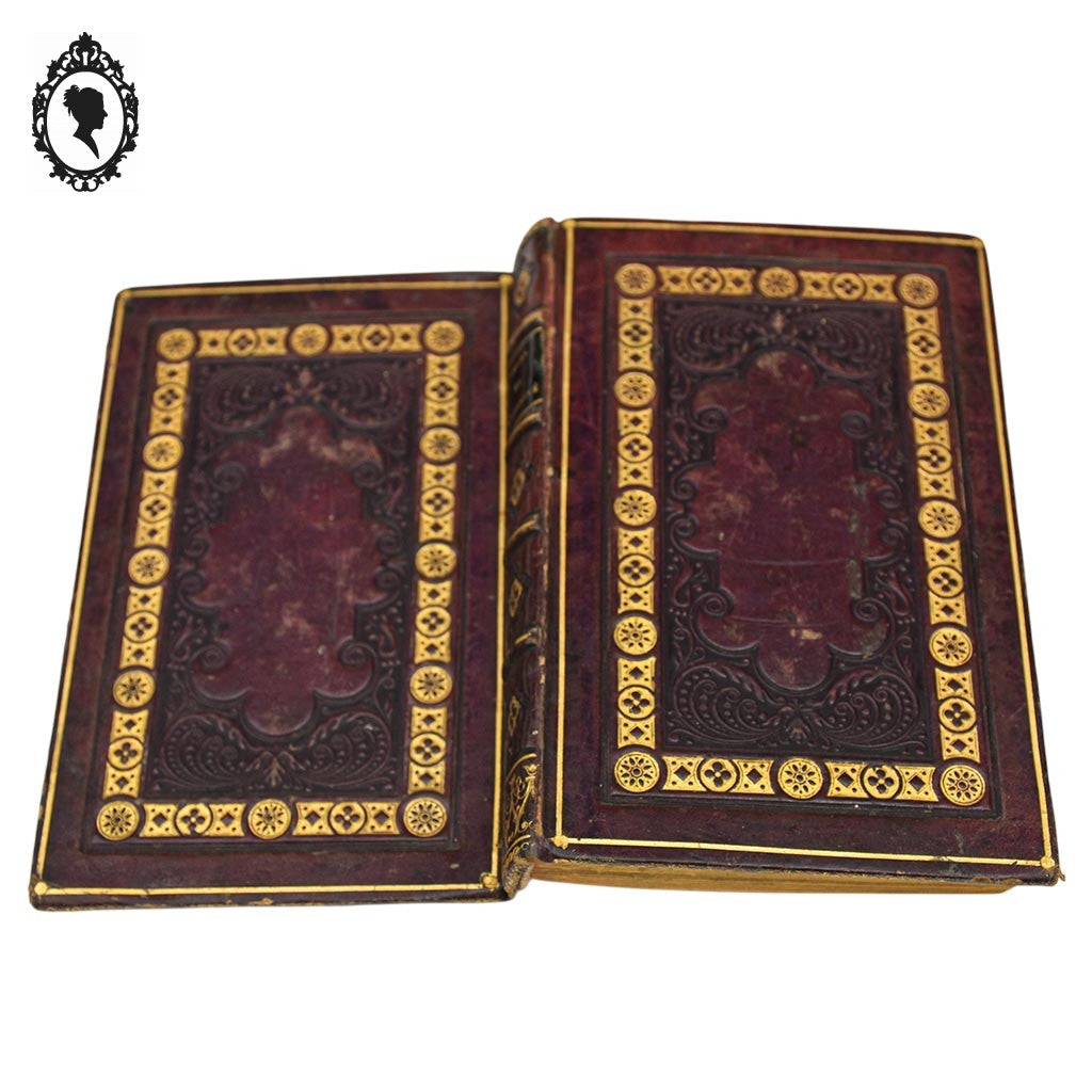 Livre religieux Les sœurs de la charité Louis Janet ancien