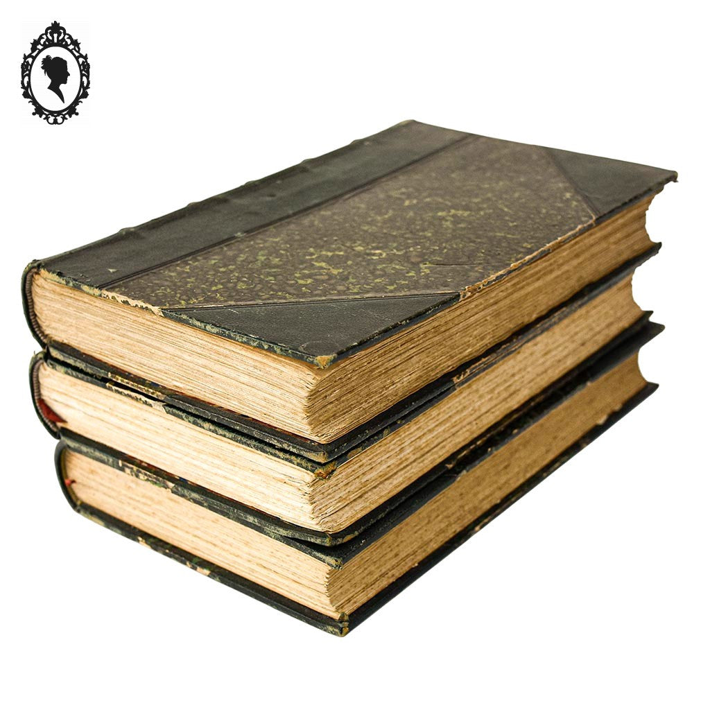 Lot 3 livres Les origines de la France contemporaine fin XIX anciens