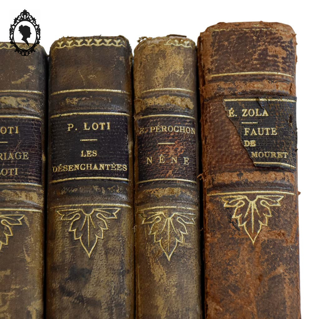Lot 5 livres anciens romans cartonnés effet cuir début XX ième