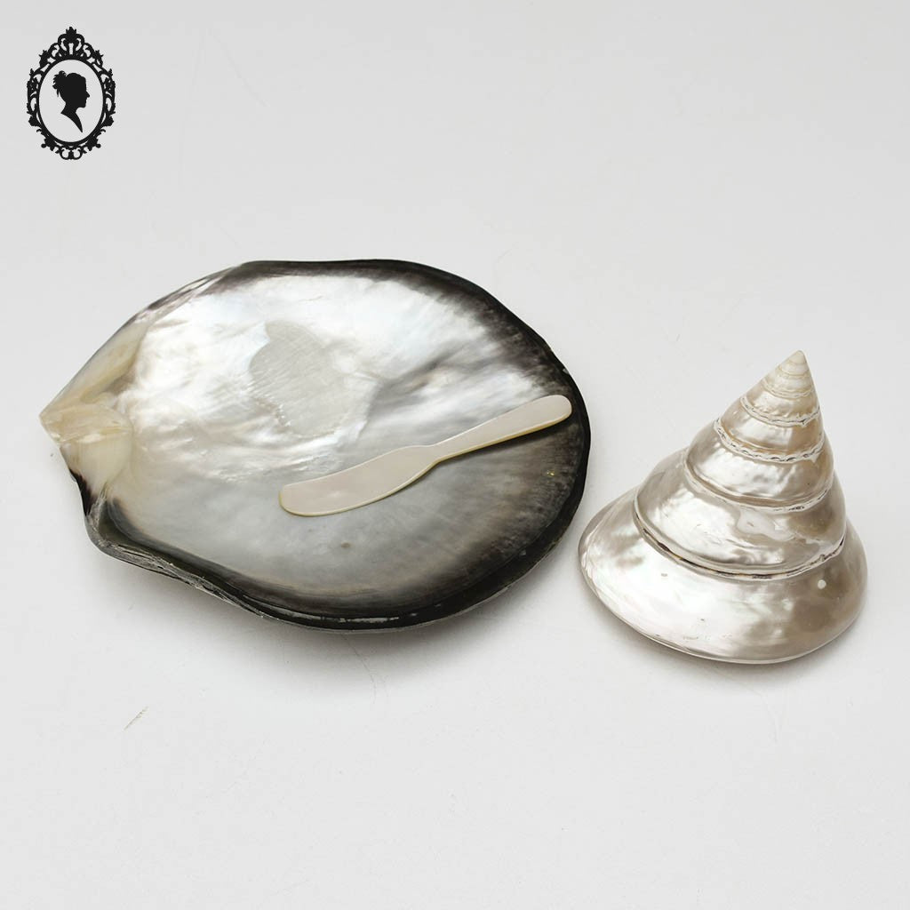Superbes 3 pièces en nacres vide poche coquillage couteau blanc