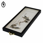 Chic tableau cadre à relief chinois asiatique blanc gris noir oiseau plume vintage