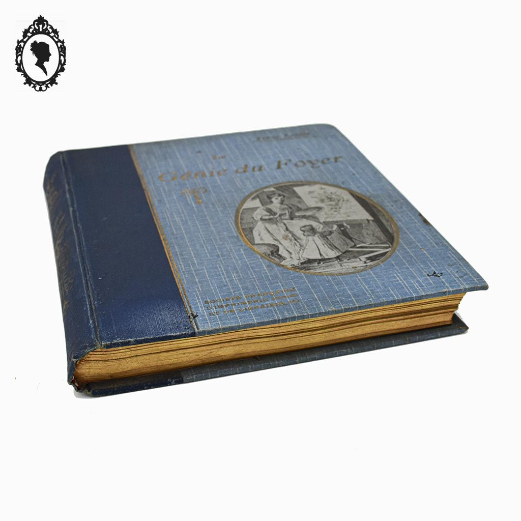 Livre bleu ancien Le Génie du Foyer de Jenny Lensia 1913