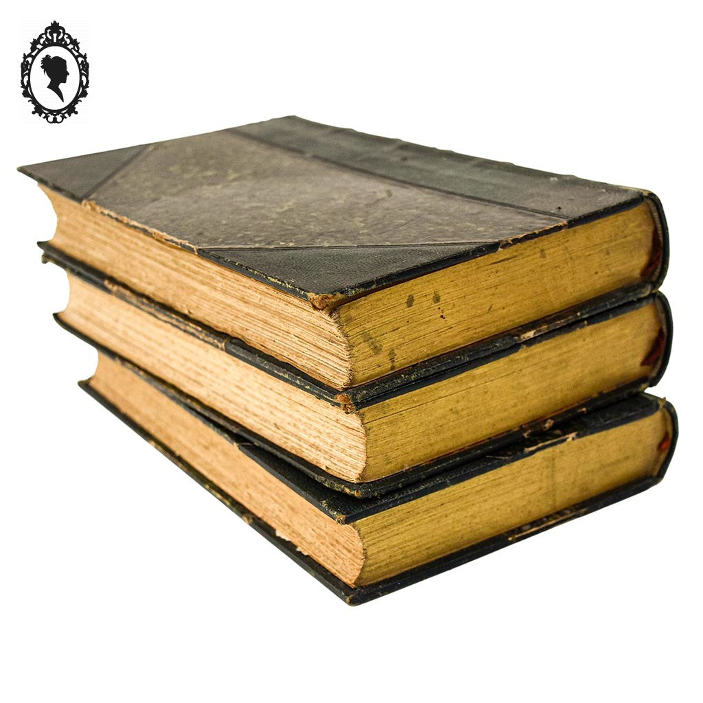 Lot 3 livres Les origines de la France contemporaine fin XIX anciens
