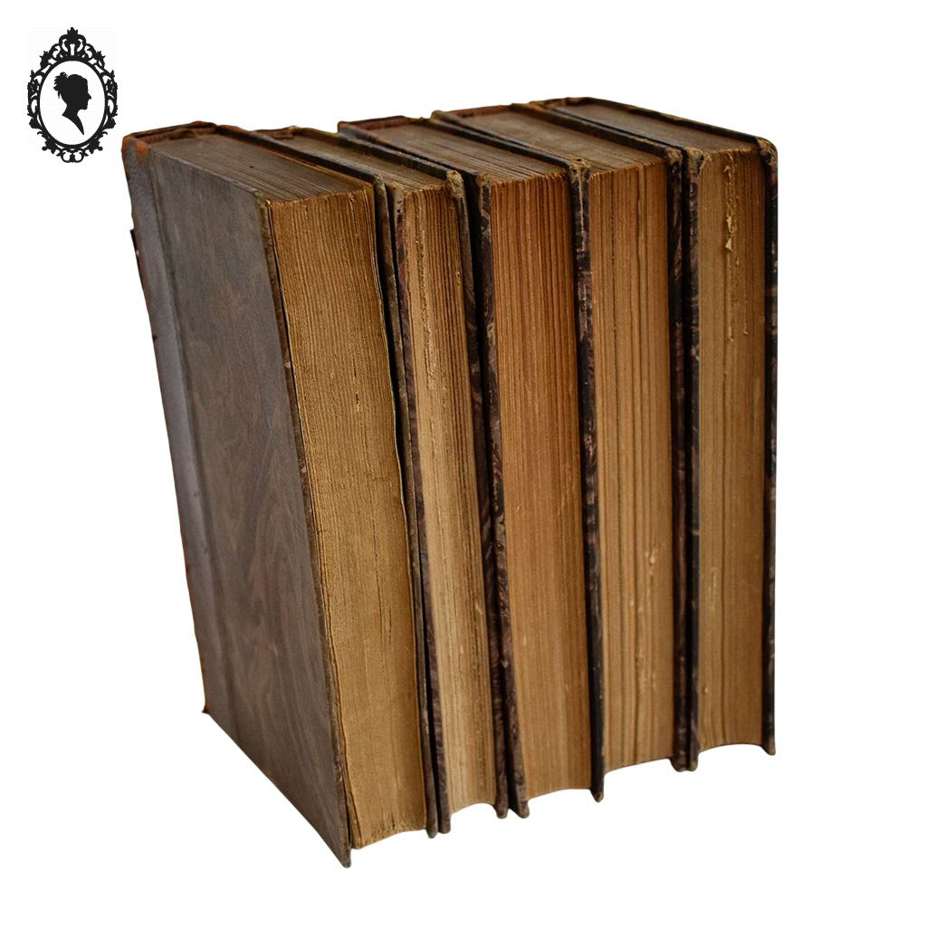 Lot 5 livres anciens romans cartonnés effet cuir début XX ième