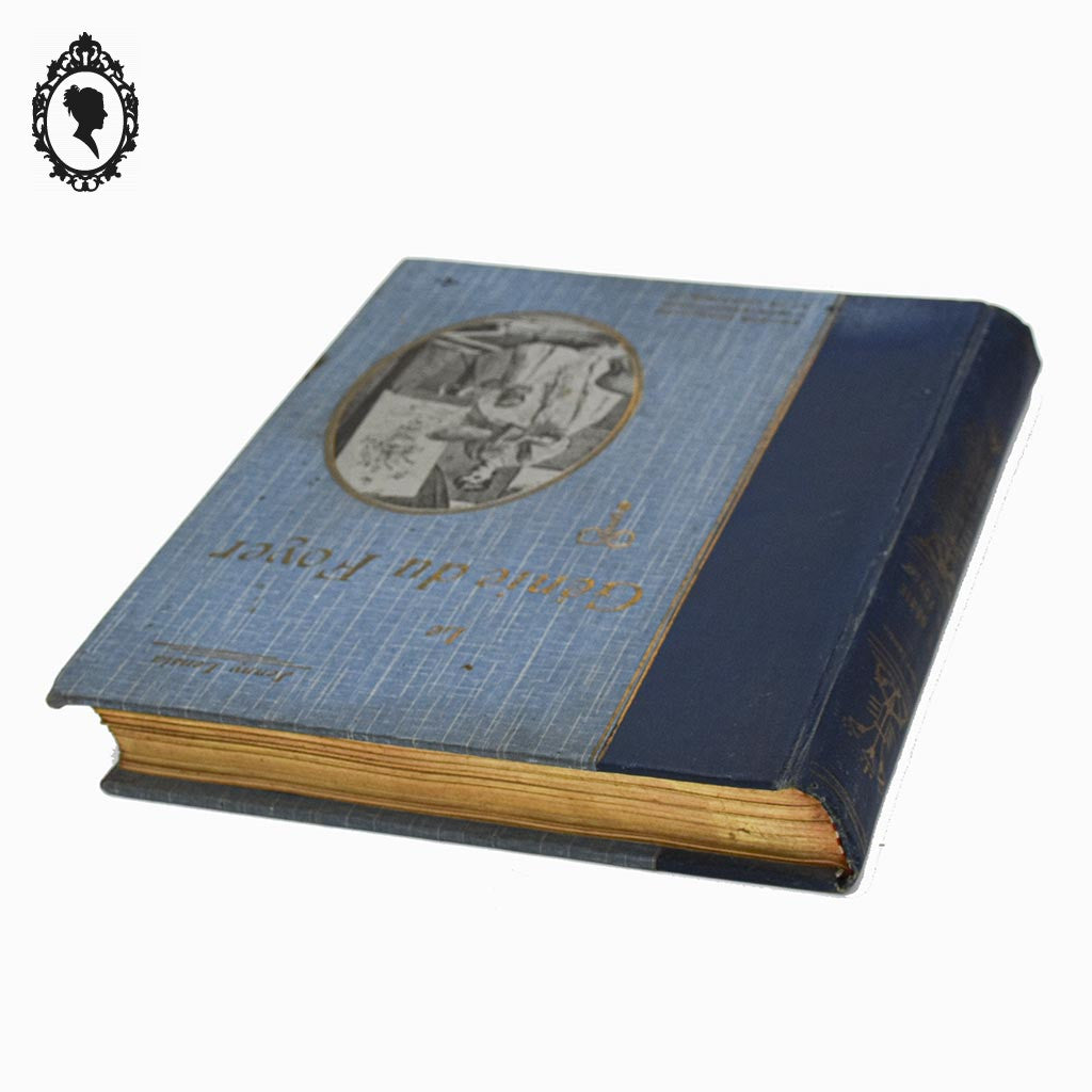Livre bleu ancien Le Génie du Foyer de Jenny Lensia 1913