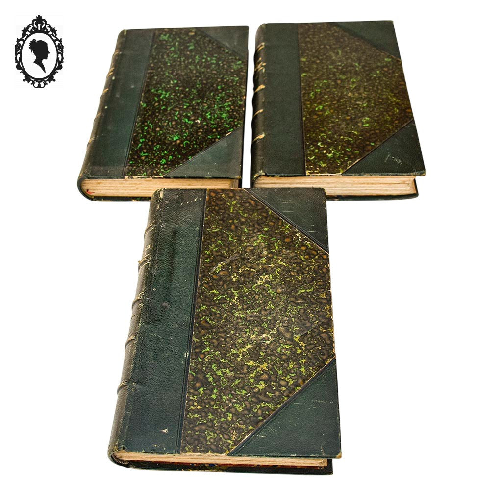 Lot 3 livres Les origines de la France contemporaine fin XIX anciens