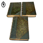 Lot 3 livres Les origines de la France contemporaine fin XIX anciens