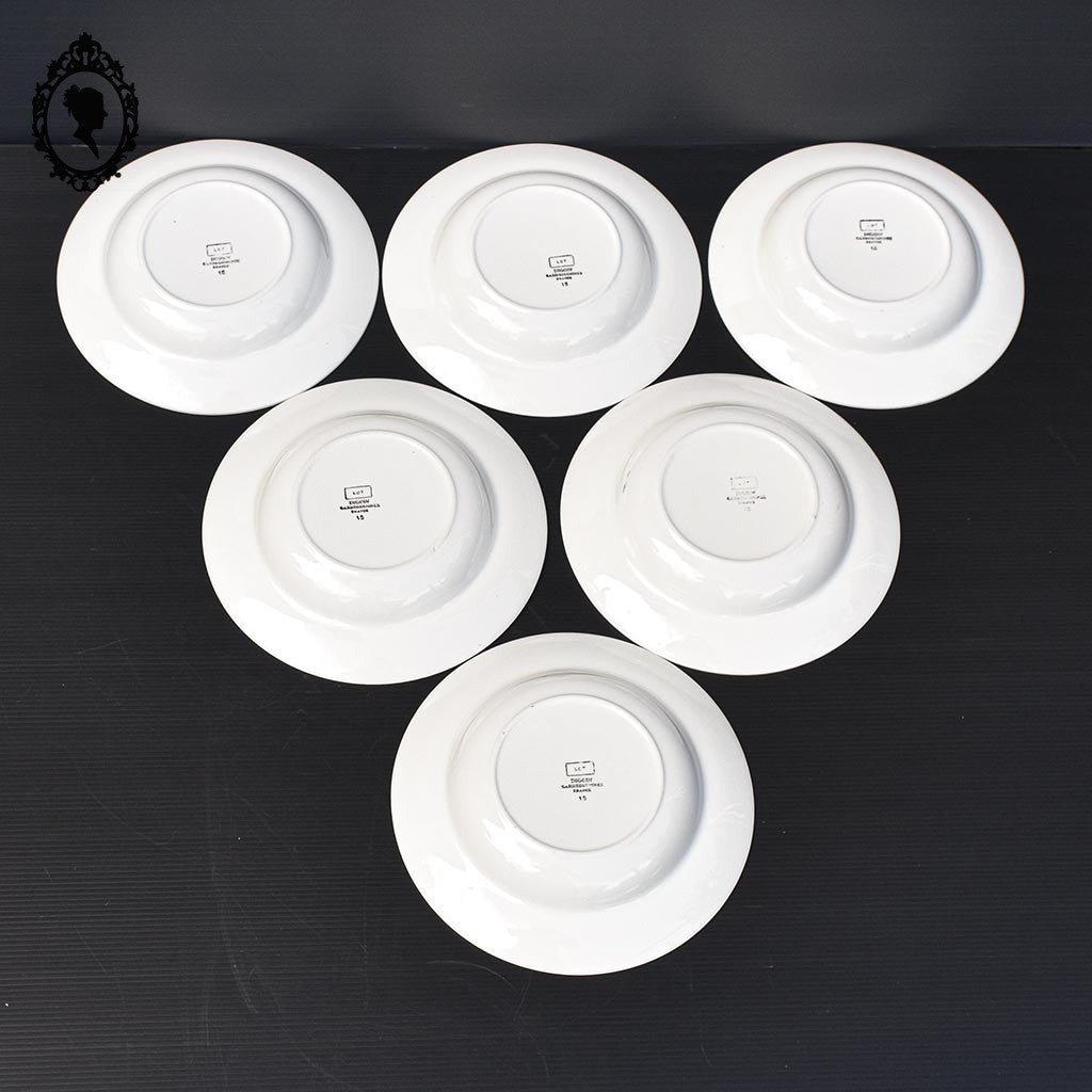 Lot 6 assiettes creuses fleur rose bleue LOT Digoin Sarreguemines vintage