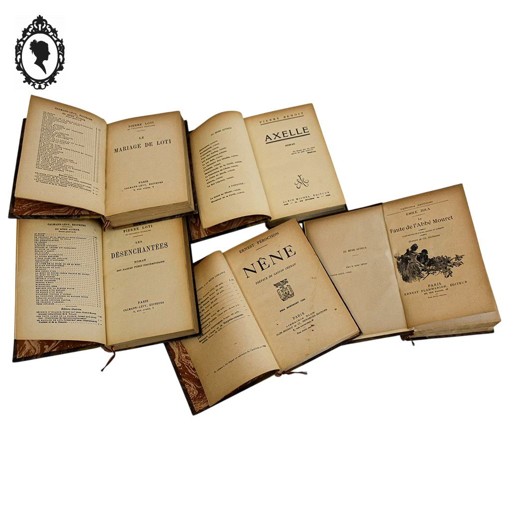 Lot 5 livres anciens romans cartonnés effet cuir début XX ième