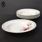Lot 6 assiettes creuses fleur rose bleue LOT Digoin Sarreguemines vintage