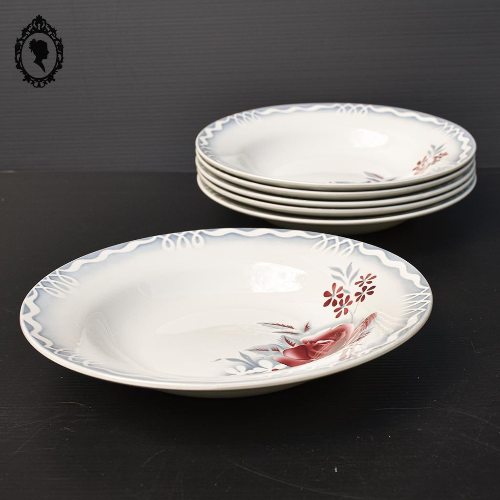 Lot 6 assiettes creuses fleur rose bleue LOT Digoin Sarreguemines vintage